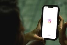 gocryptobet s increasing fame