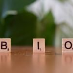 thomas boone quaid s legacy