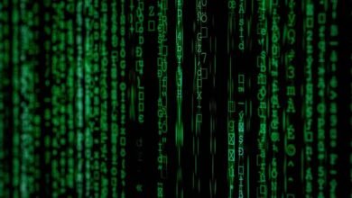 identify suspicious phone numbers