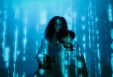 identity protection service numbers