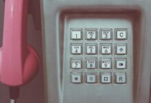 phone number database entries