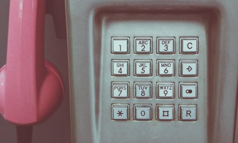 phone number database entries