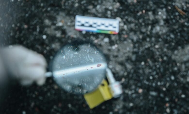 scam detection phone numbers