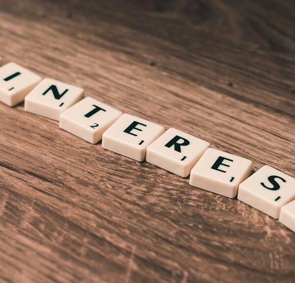 digital platform for success