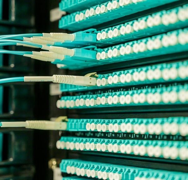 network growth professional services